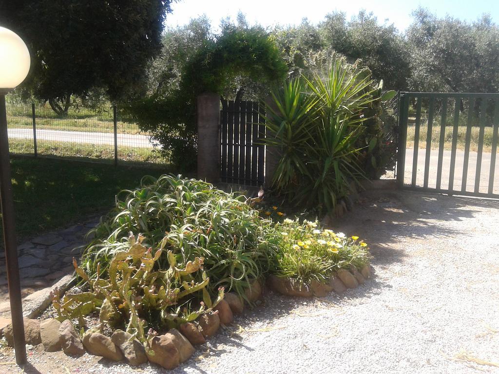 Agriturismo S. Agostino Διαμέρισμα Rocchette  Δωμάτιο φωτογραφία